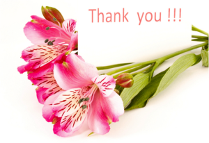 Thank-you-flowers-300x206.png